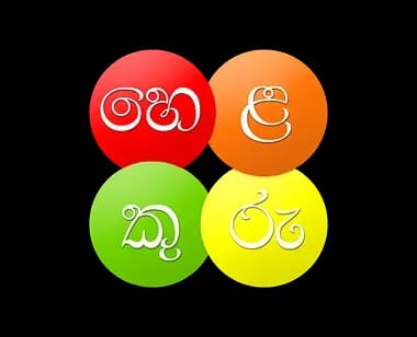 Company Image 4